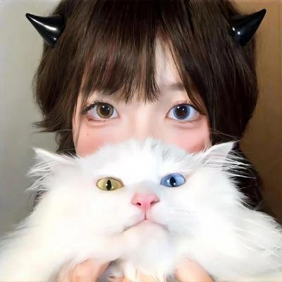 撕裂屋